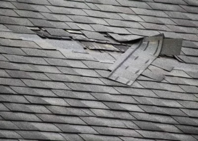 Reliable Roofer 6